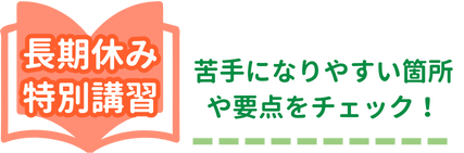 長期休み特別講習で苦手になりやすいか箇所や要点をサポート