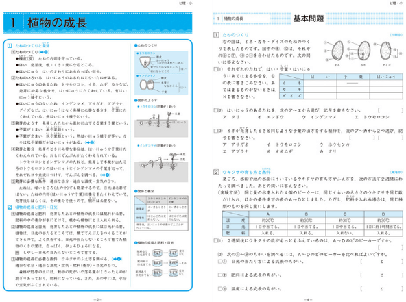 小学校の総復習の画像